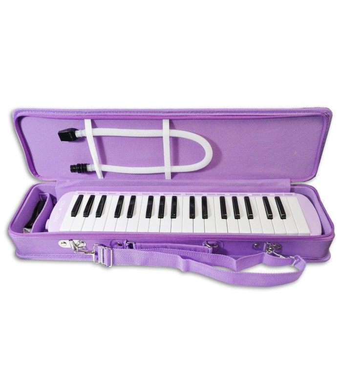 Photo of the Melodica Record model M-37PU inside the case