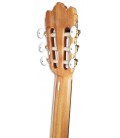 Photo of classical guitar Alhambra Iberia Ziricote
