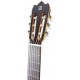 Photo of the classical guitar Alhambra Iberia Ziricote's headstock