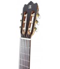 Photo of the classical guitar Alhambra Iberia Ziricote's headstock