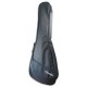Photo of the guitar Yamaha APX-T2's bag