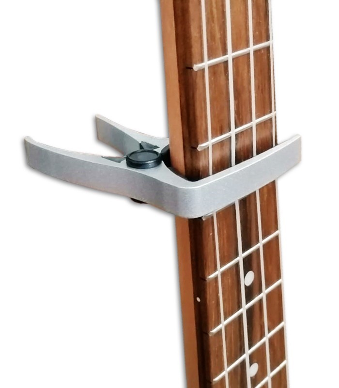 Photo of the Capo Leon SUC 01 in the neck of an ukulele