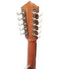 Photo of the Mandolin Artimúsica model BD40TC10C Simple's machine heads