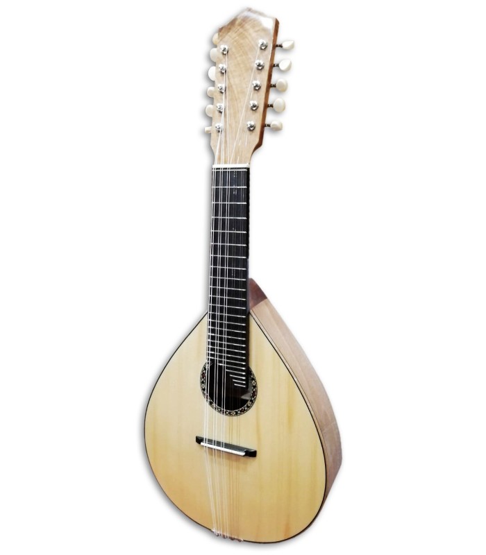 Photo of the Mandolin Artimúsica model BD40TC10C Simple with 10 Strings