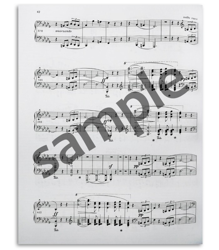 Photo of a dample from Chopin Scherzos Paderewski's book