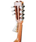 Photo of the mandolin APC MDL308's machine heads