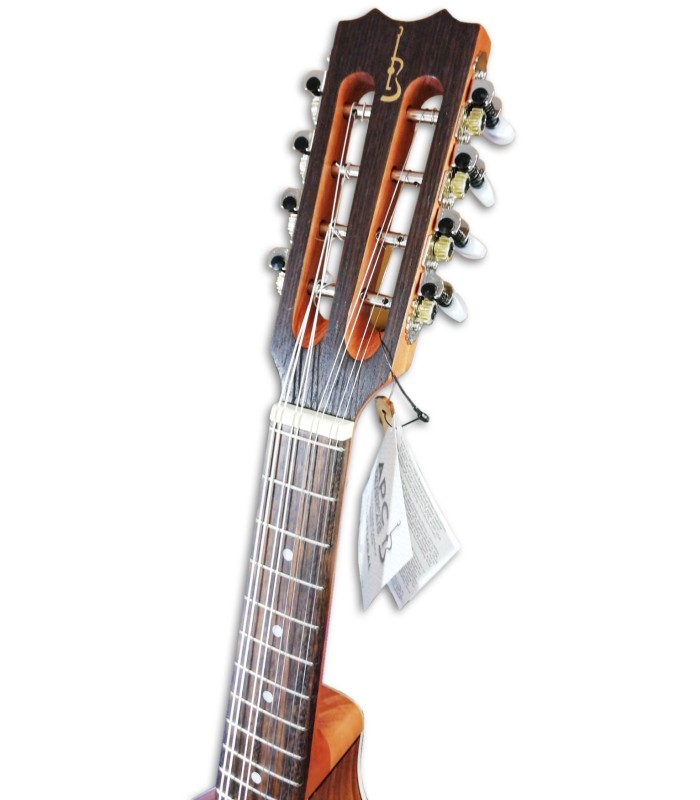 Foto de la cabeza de la mandolina APC MDL308