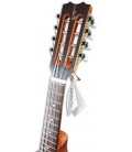 Photo of the mandolin APC MDL308's head