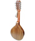 Photo of  the mandolin APC MDL308's back