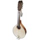 Photo of mandolin APC model MDL308