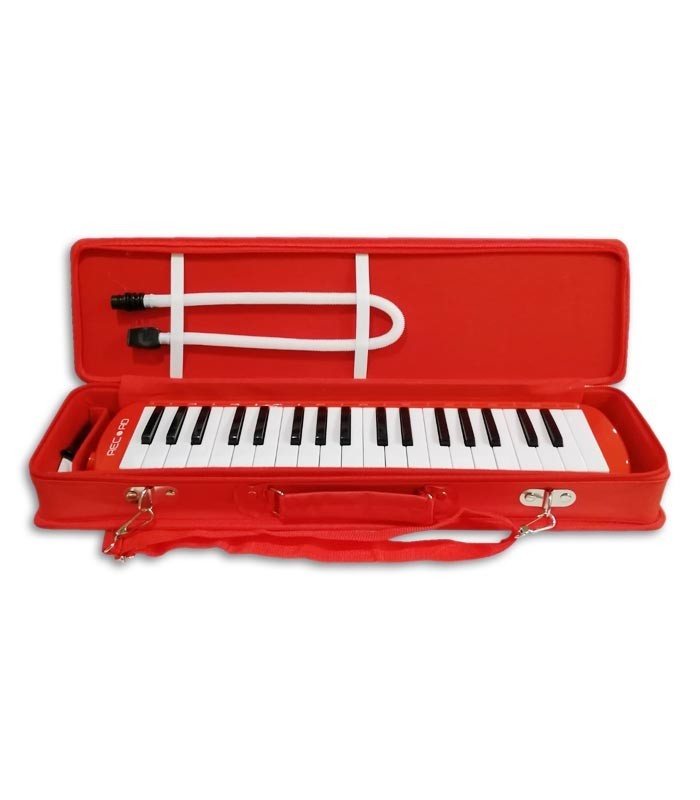 Photo of the Melodica Record model M-37RD inside the case