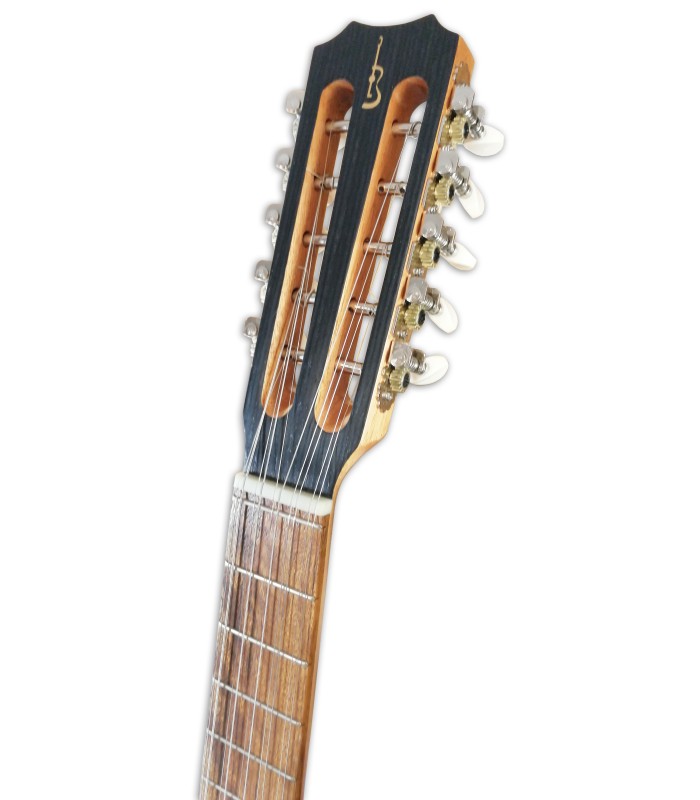 Photo of the Viola Braguesa APC model 250's head