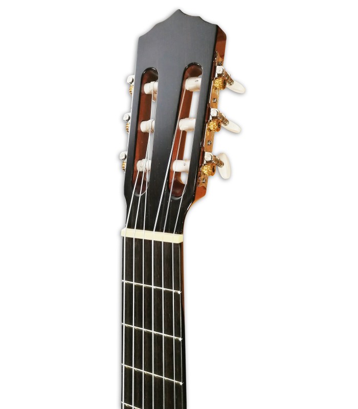 Photo of the Classical Guitar Artimúsica model GC02C's headstock