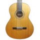 Foto de la tapa de la Guitarra Clásica Artimúsica modelo GC02C