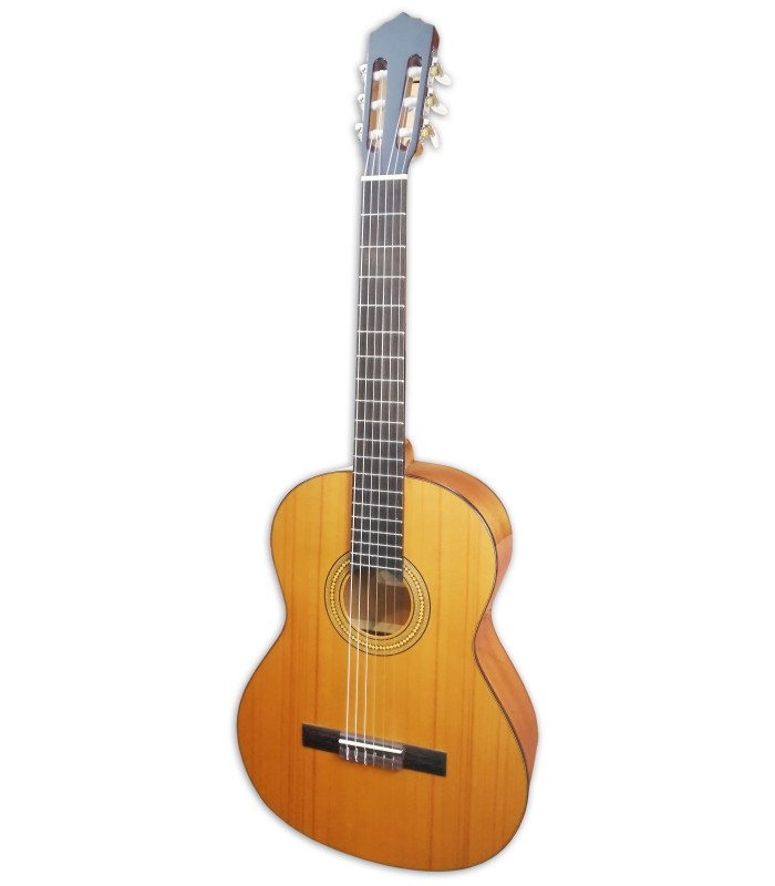 Foto da Guitarra Clássica Artimúsica modelo GC02C