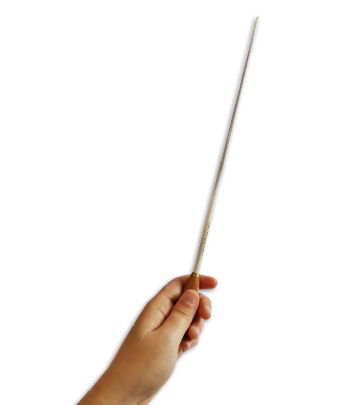 Photo of the Baton Pickboy model 160 MH/W in a hand