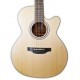 Photo of the Electroacoustic Guitar Takamine model GN20CE-NS CW Nex's top