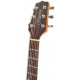 Photo of the Acoustic Guitar Takamine model GD11M-NS's headstock