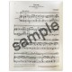 Foto de uma amostra do livro Schubert Sonate fur Arppegione und Klavier