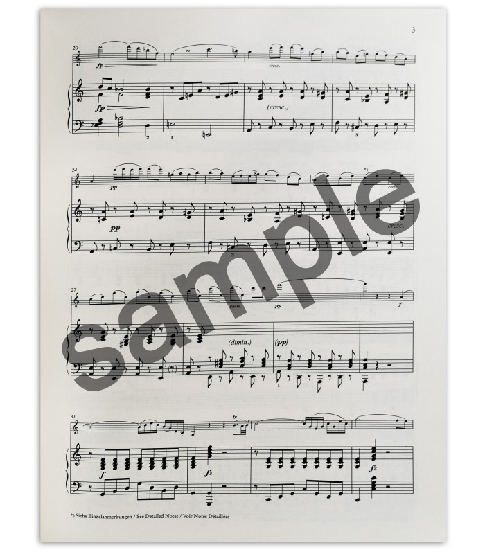 Foto de outra amostra do livro Schubert Sonate fur Arppegione und Klavier