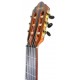 Photo of the classical guitar Valencia model VC264 natural's headstock