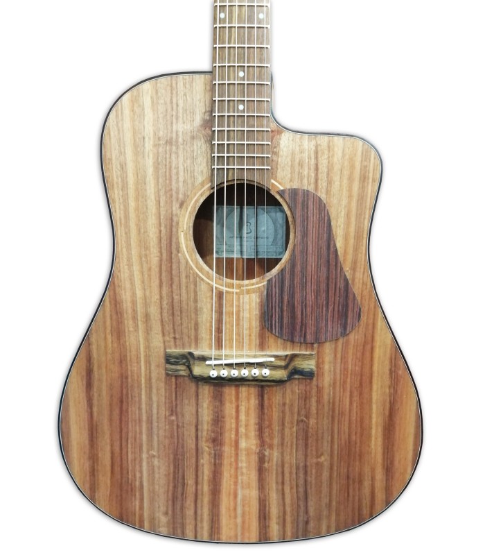 Tapa de la guitarra electroacústica APC modelo WG300SKOACW