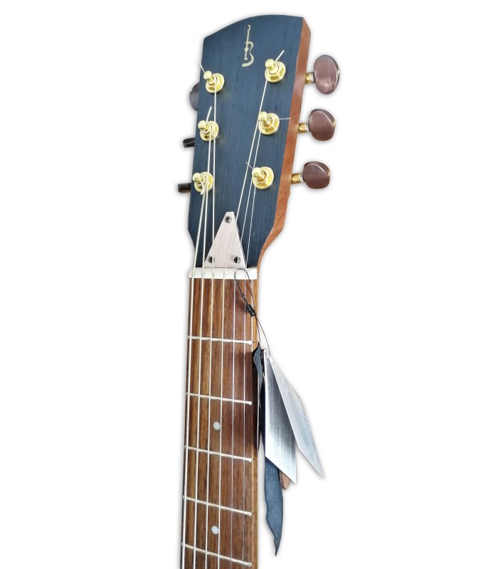 Head of the eletroacoustic guitar APC model WG300SKOACW