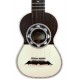 Top of the Artimúsica cavaquinho modelo CV17C