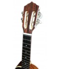 Cabeza del cavaquinho Artimúsica modelo CV17C