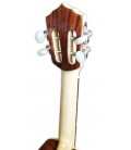 Clavijero del cavaquinho Artimúsica modelo CV17C de lujo