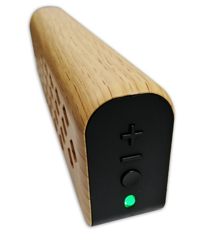 Detalhe dos controlos do amplificador Flight modelo Mini 6248