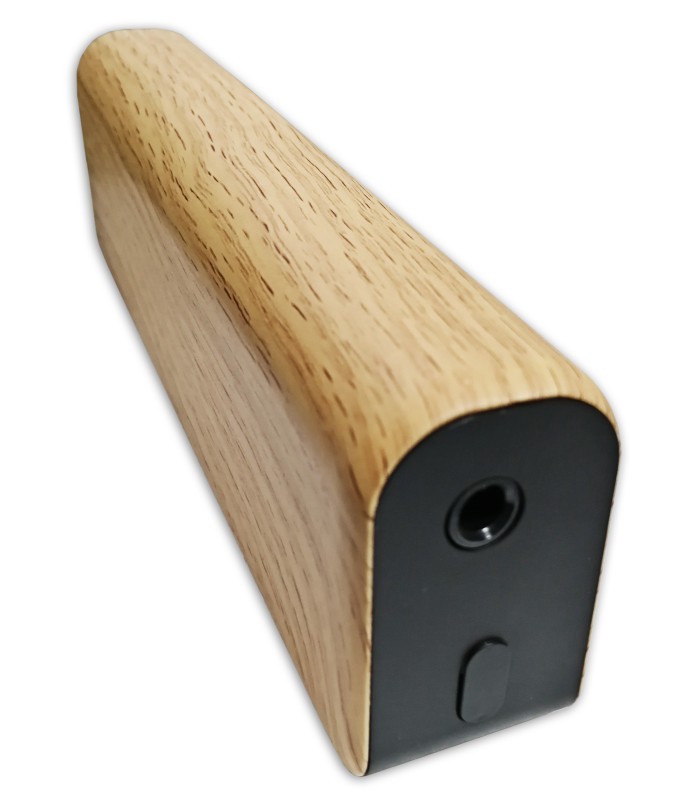 Detalhe da entrada do amplificador Flight modelo Mini 6248