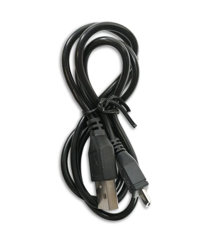 Cable USB del amplificador Flight modelo Mini 6248