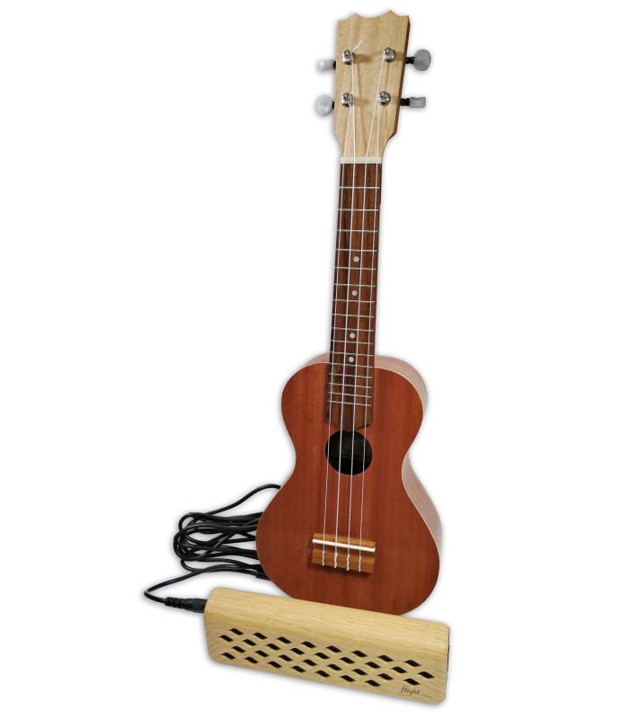 Amplificador Flight modelo Mini 6248 con un ukelele soprano