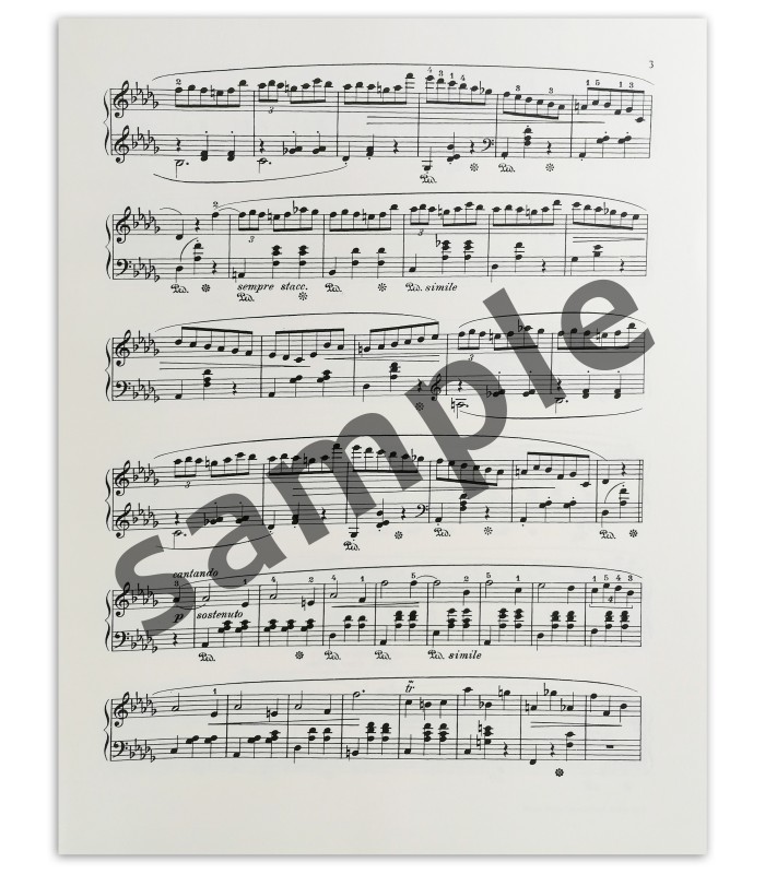 Otra muestra del libro Chopin minute waltz Op. 64 nº1