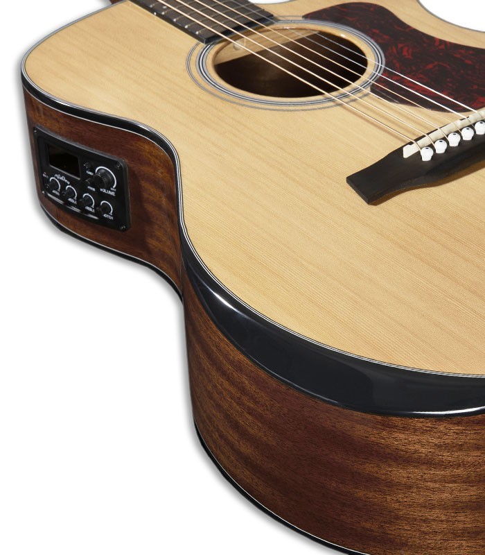 Detalle del cuerpo y preamp de la guitarra electroacústica Walden modelo G570RCERVW Rui Veloso 40 años