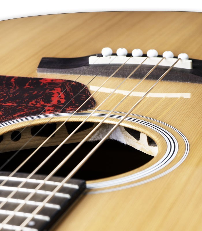 Detalle de la tapa y puente de la guitarra electroacústica Walden modelo G570RCERVW Rui Veloso 40 años