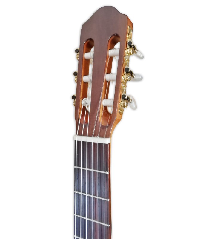 Head of the classical guitar Raimundo model 118