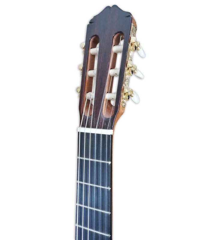 Head of the classical guitar Raimundo model 128