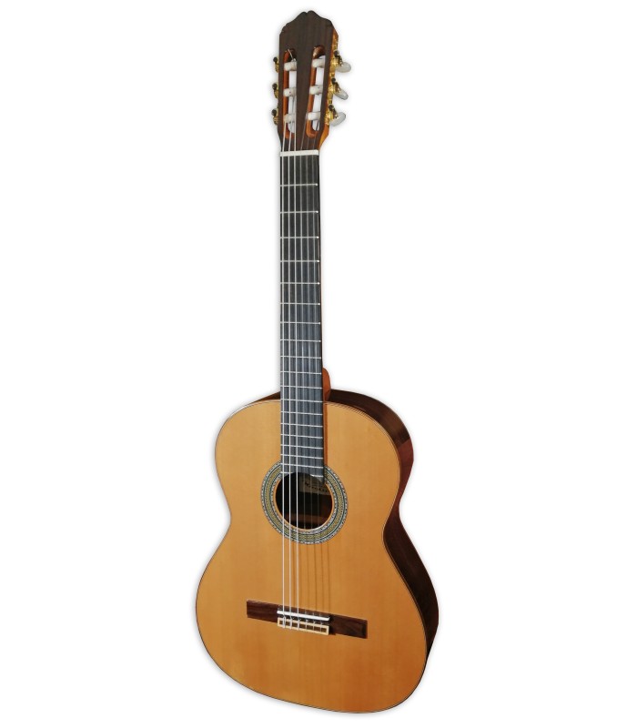 Foto de la guitarra clásica Raimundo modelo 128 con tapa en cedro, fondo y aros en palosanto