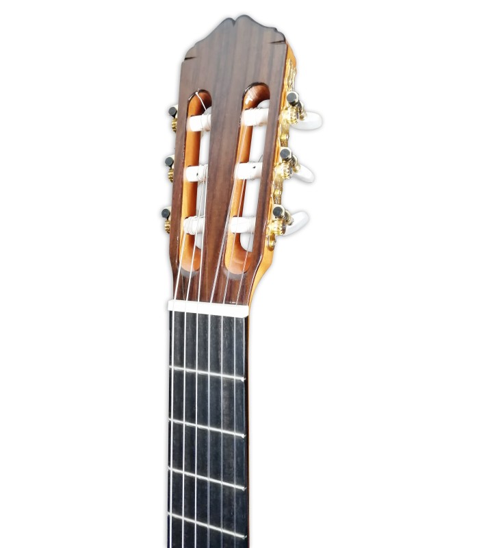 Cabeza de la guitarra clásica Raimundo modelo 128