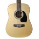 Top of the acoustic guitar Ibanez modelo PF 1512 NT Dreadnougt