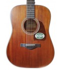 Tampo de la guitarra acústica Ibanez modelo AW54 OPN Dreadnought