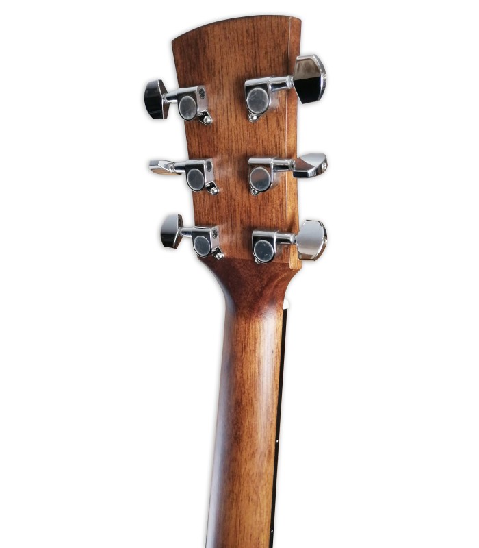 Cabeza de la guitarra acústica Ibanez modelo AW54 OPN Dreadnought