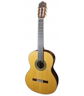 Foto da guitarra cl叩ssica Paco Castillo modelo 204 com tampo em spruce, fundo e ilhargas em pau santo