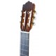 Cabeza de la guitarra clásica Paco Castillo modelo 204 con tapa en abeto
