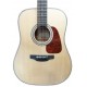 Top of the acoustic guitar Takamine model GD10 NS Dreadnought