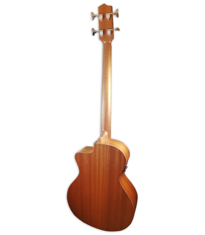 Back of the acoustic bass APC model BG100 CW