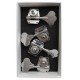 Photo of the pair of tuning machines Schaller model Bass BM for bass 2L 2R nickel plated