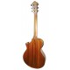 Costas da guitarra eletroacústica Ibanez modelo AEWC11 DVS
